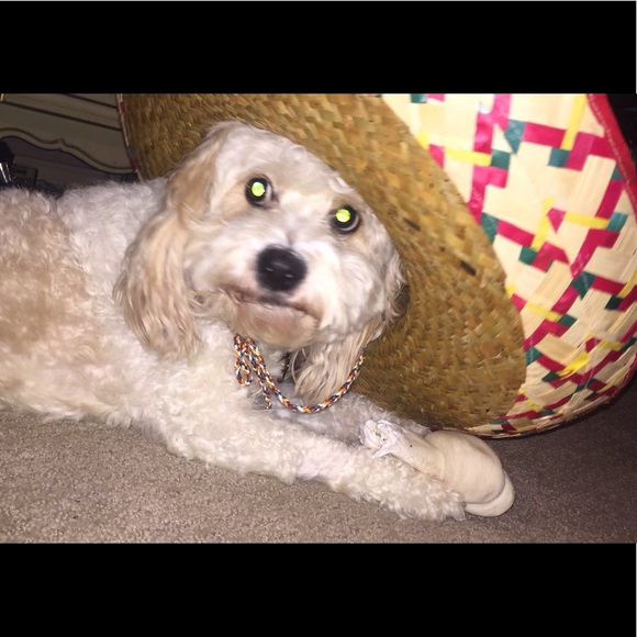 READ THE DETAILS PLEASE! :-) - Picture 6 of 9